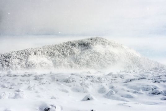 《ice forest》inkjet print, H:210 × W:297 mm, 2018