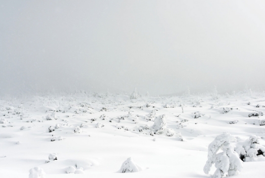 《ice forest》inkjet print, H:1,118 × W:1,580 mm, 2018